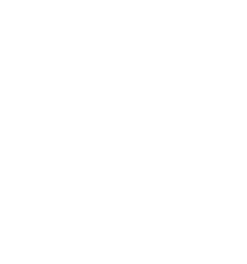 Distintivo Q