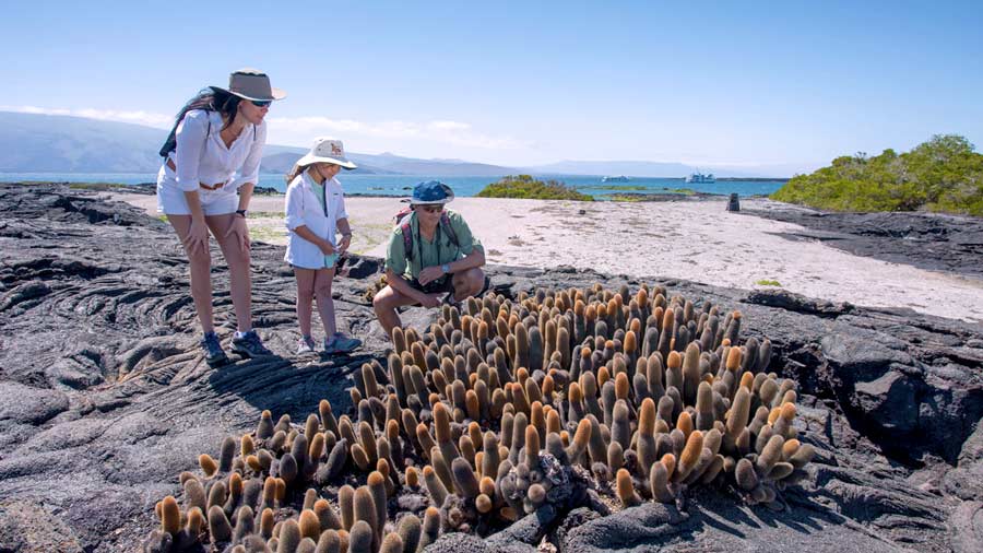 Expeditions in Galapagos