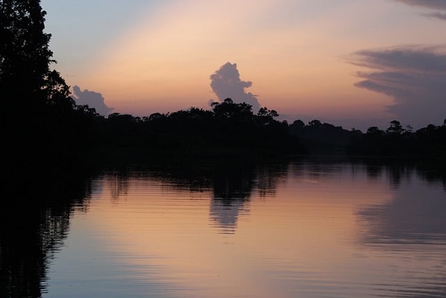 amazon rainforest ecuador travel tourist place  