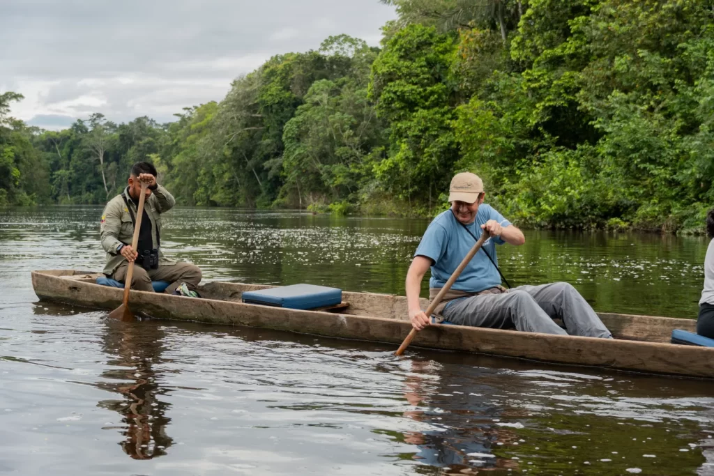 Amazon Rainforest Killa