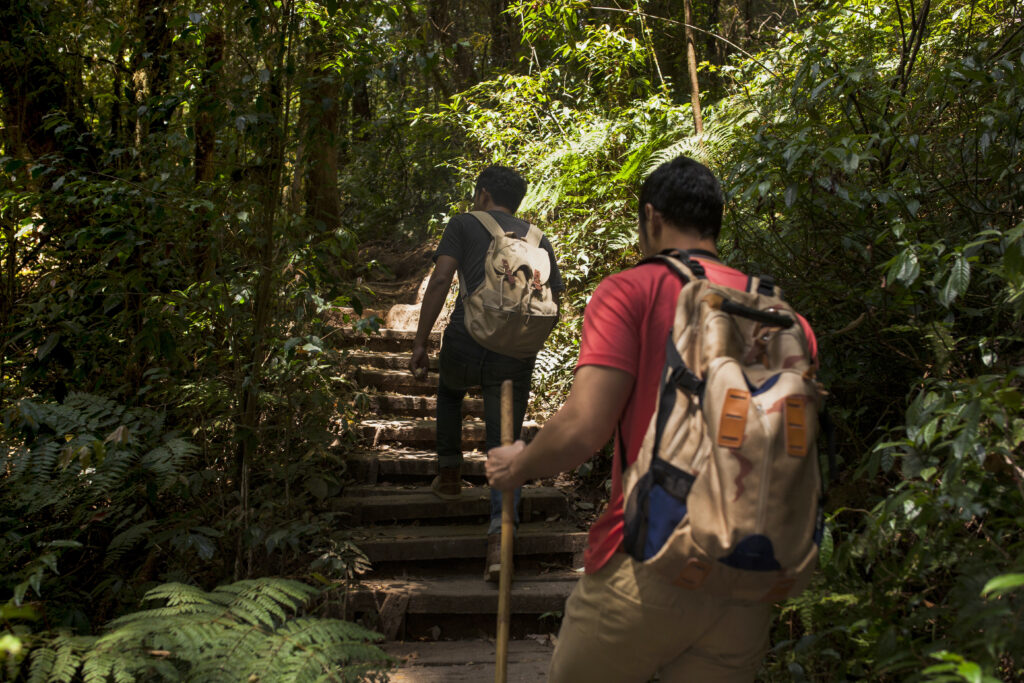 hikers in the amazon