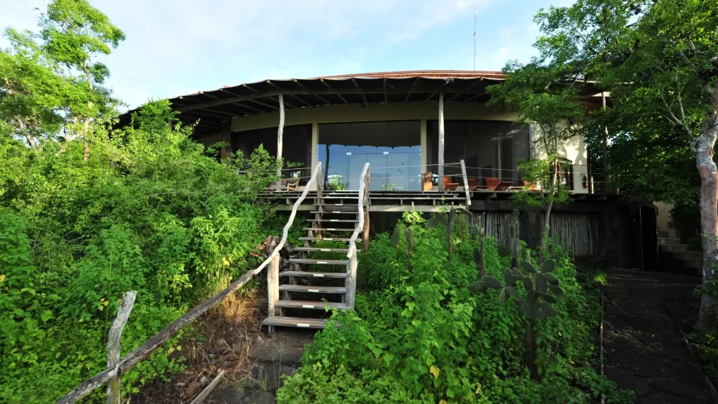 Glamping-style tented lodge surrounded by greenery at Galapagos Safari Camp in the Santa Cruz highlands.