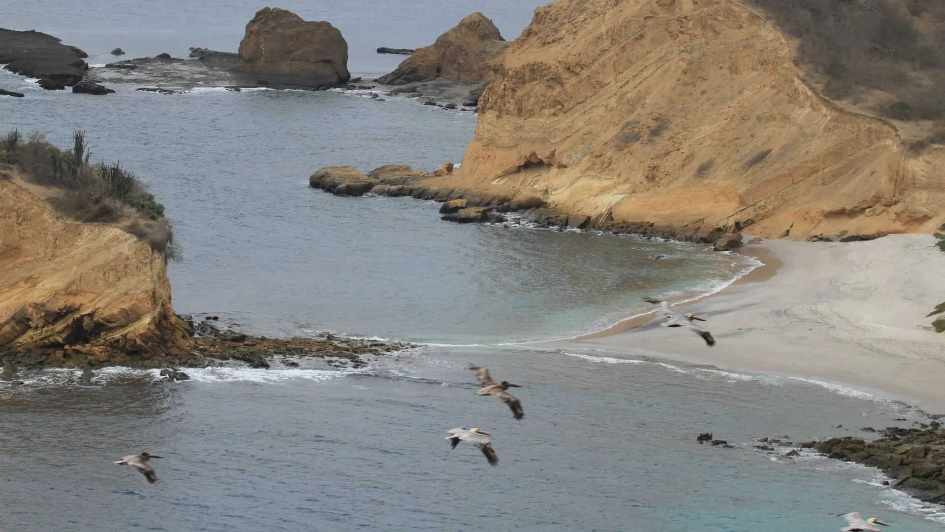 Scenic view of Los Frailes Beach in Machalilla National Park, Manabí, Ecuador, with pristine sand and turquoise waters.