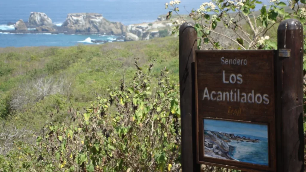 Cliffside trail on Isla de la Plata, Manabí, Ecuador, overlooking the Pacific Ocean.
