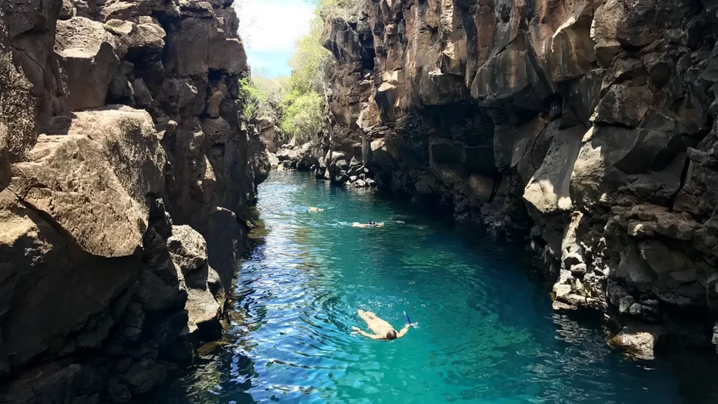 Explorer dives into the crystal clear waters of the Santa Cruz caves-LAX to Galápagos