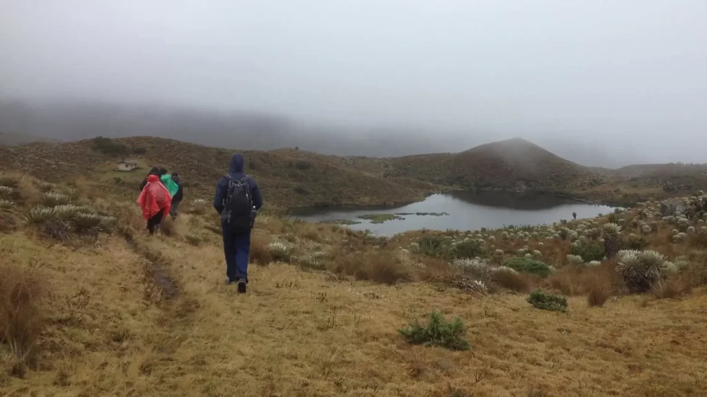 Snow‑capped peaks and páramo vegetation in Los Nevados National Natural Park, Colombia