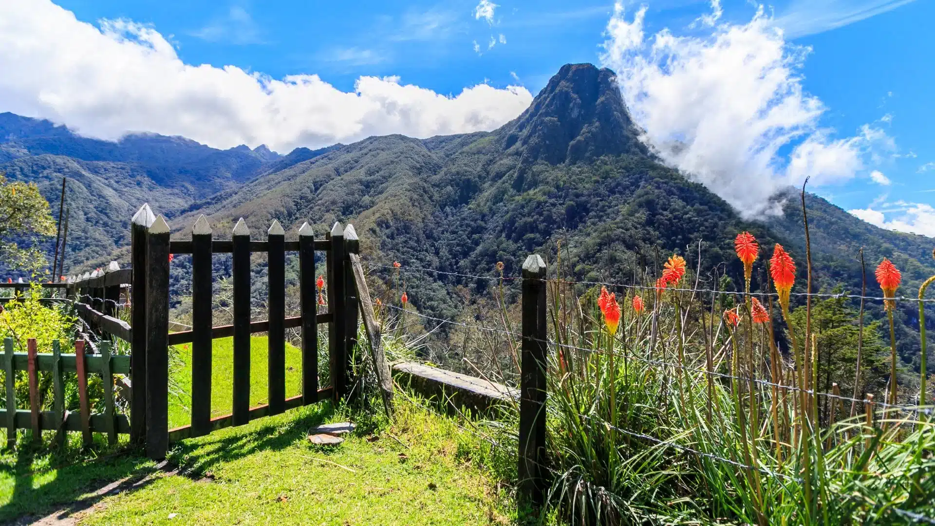 Panoramic view over Cocora Valley with rolling hills and sky