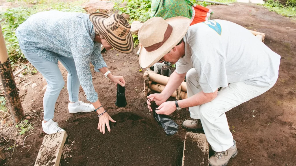 Travelers help plant coffee seedlings-Colombian Coffee