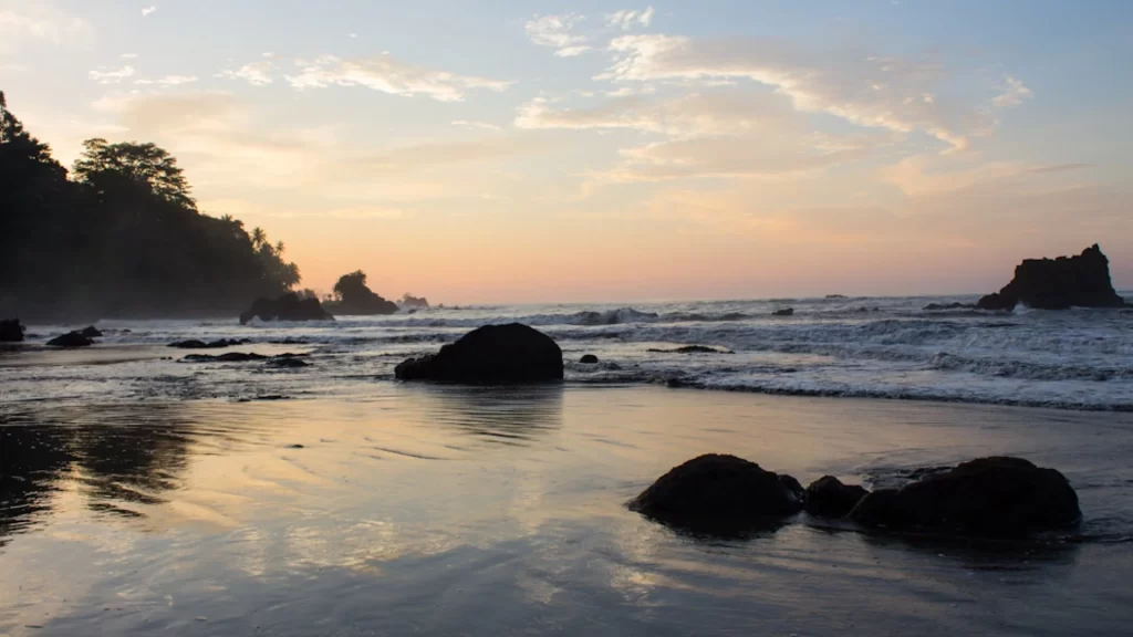 Dense rainforest and river scene in Chocó region Colombia